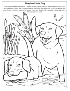 Maryland State Dog Coloring Page