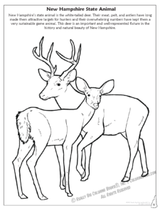 New Hampshire State Animal Coloring Page
